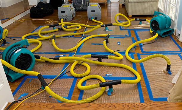 Professional Storm Water Damage Restoration technician working in South Bound Brook, NJ
